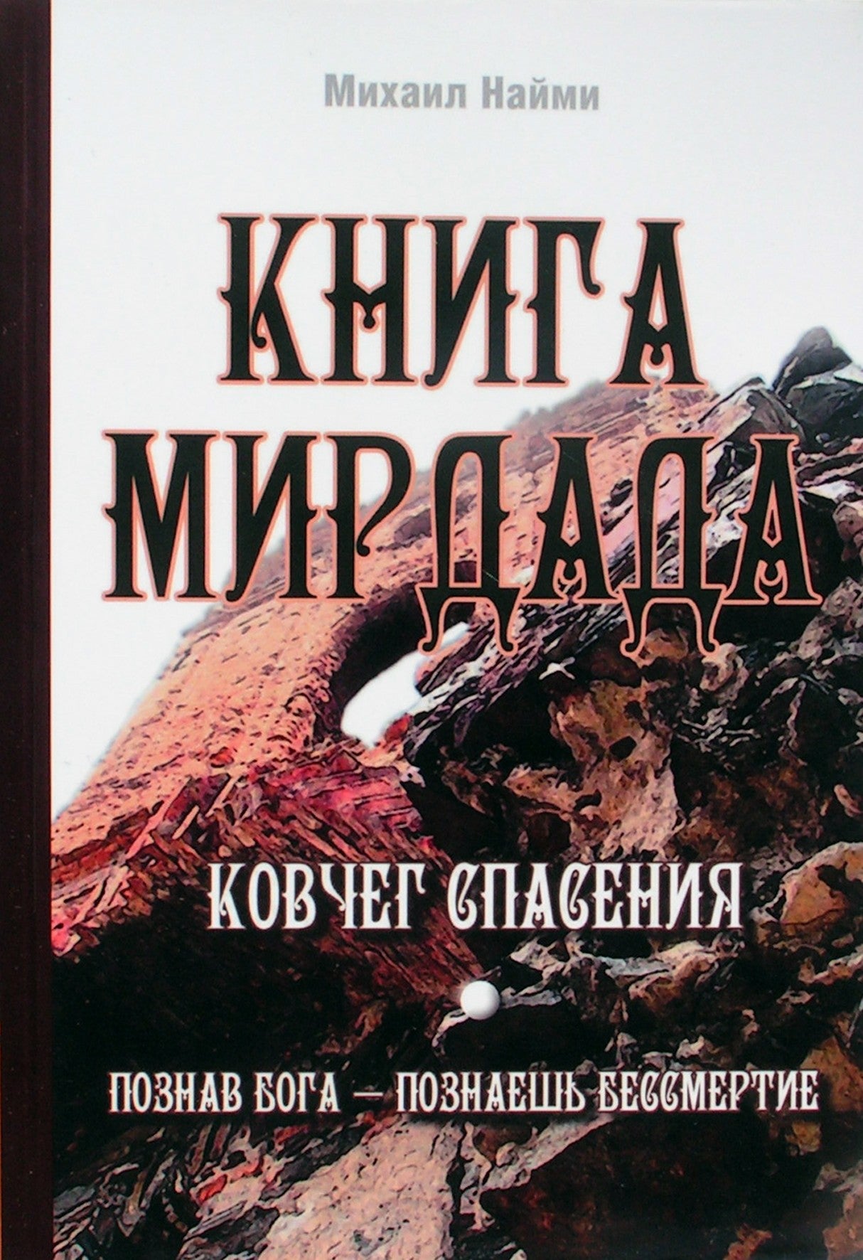 Michael Naimi „Mirdado knyga. Išganymo arka“