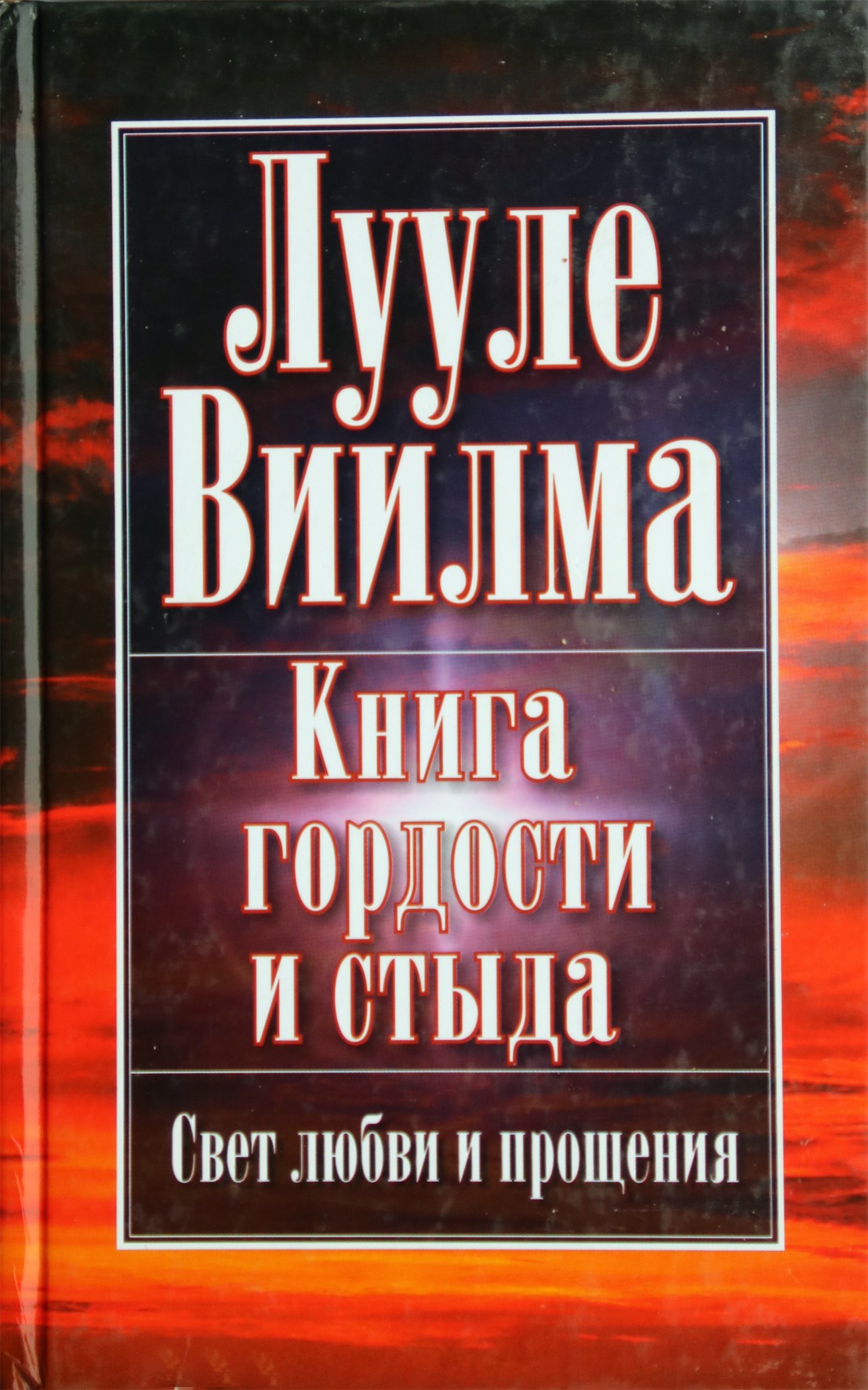 Luule Viilma "Puikybės ir gėdos knyga"
