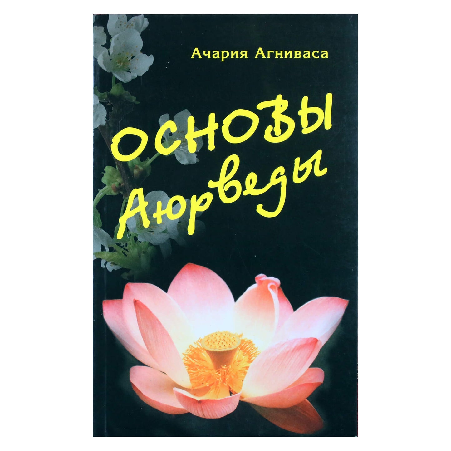 Asaria Agnivasa „Ajurvedos pagrindai“