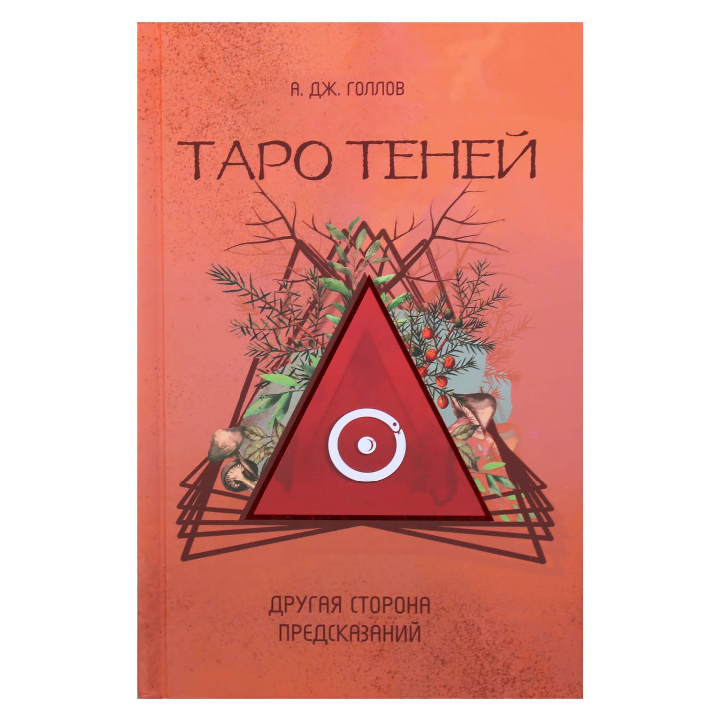 Anastasija Gollov „Šešėlių taro. Kita prognozių pusė“