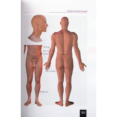 Kišeninis akupunktūros atlasas / redagavo Morozovas G.V.