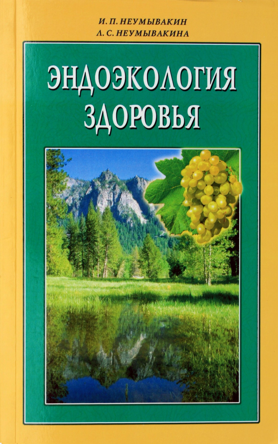 Ivanas Neumyvakinas „Sveikatos endokologija“