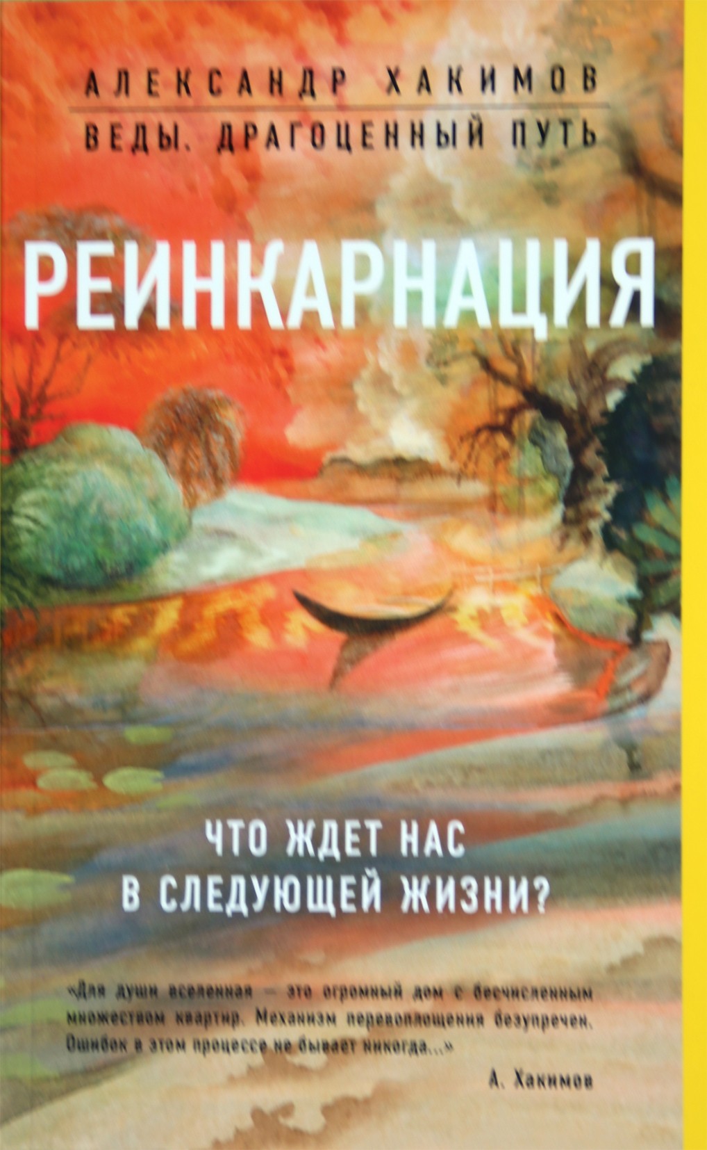 Хакимов "Реинкарация. Что нас ждет в следующей жизни?"