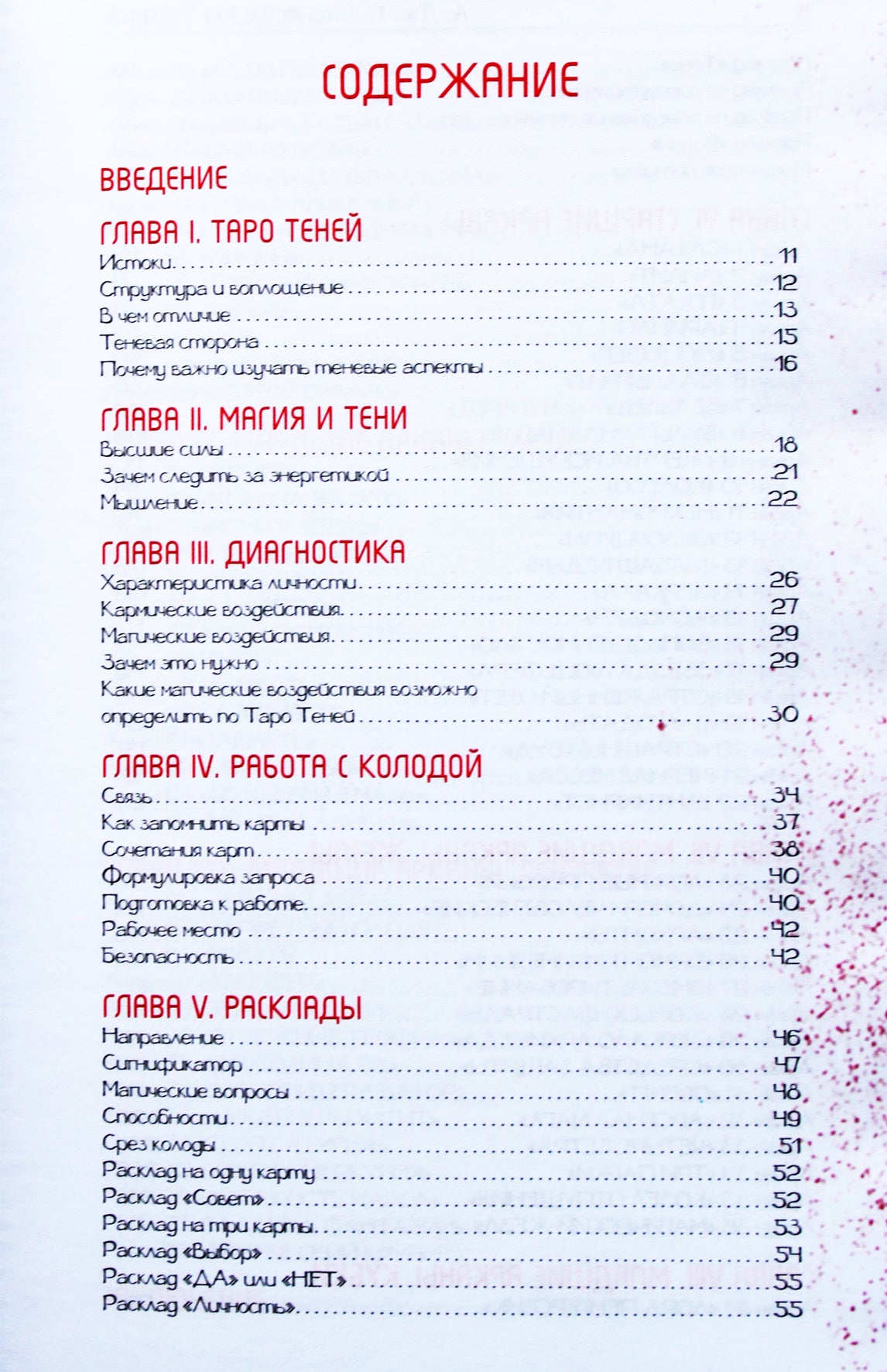 Anastasija Gollov „Šešėlių taro. Kita prognozių pusė“