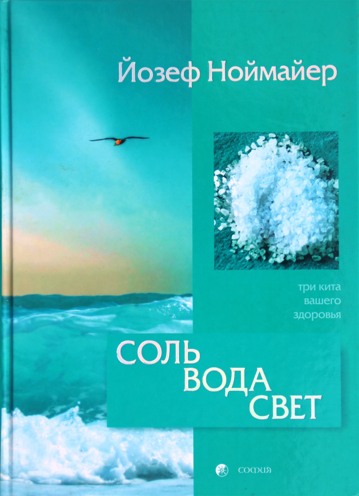 Joseph Neumeier „Druska, vanduo, šviesa: trys sveikatos ramsčiai“