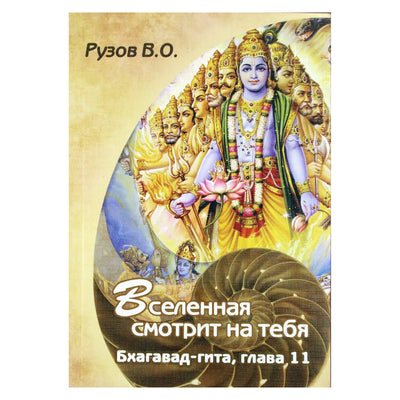 Viačeslavas Ruzovas „Visata žiūri į tave: seminaras apie Bhagavad Gitos 11 skyrių“