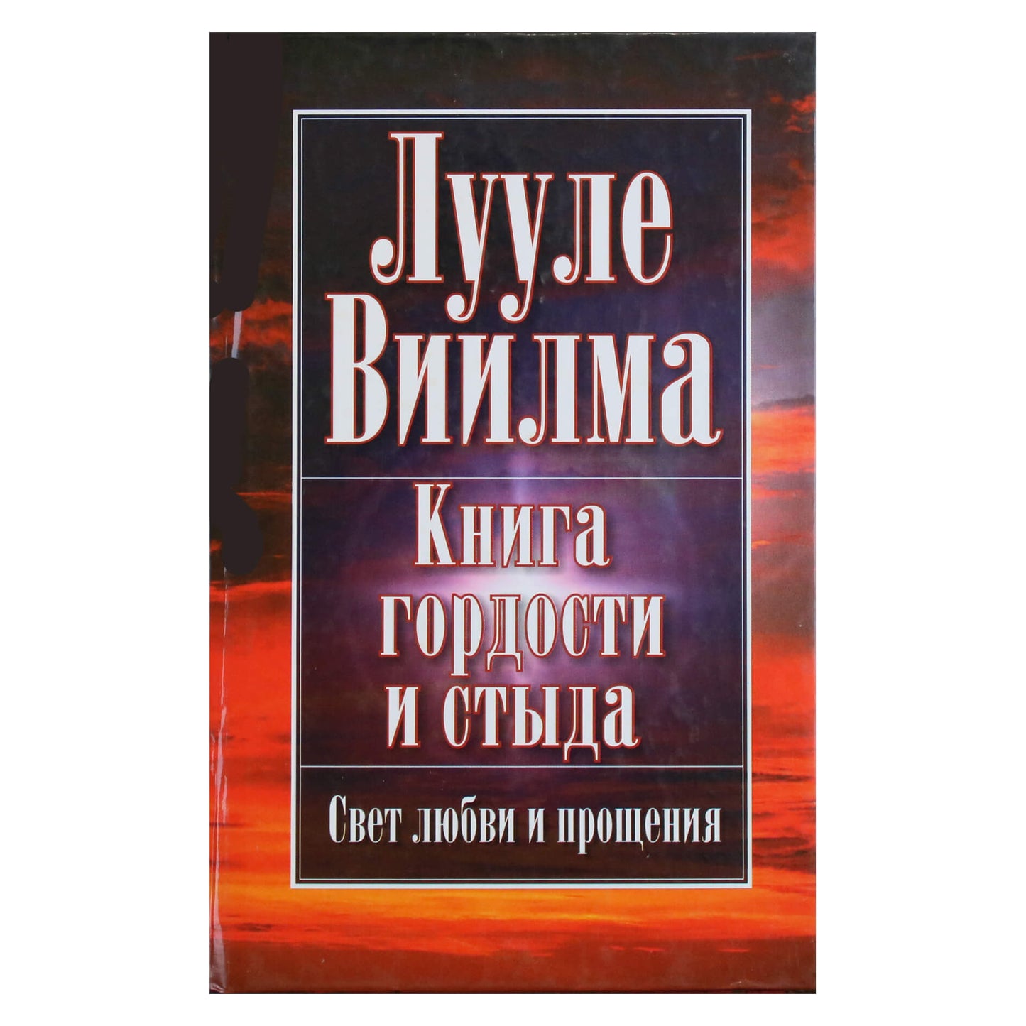 Luule Viilma "Puikybės ir gėdos knyga"