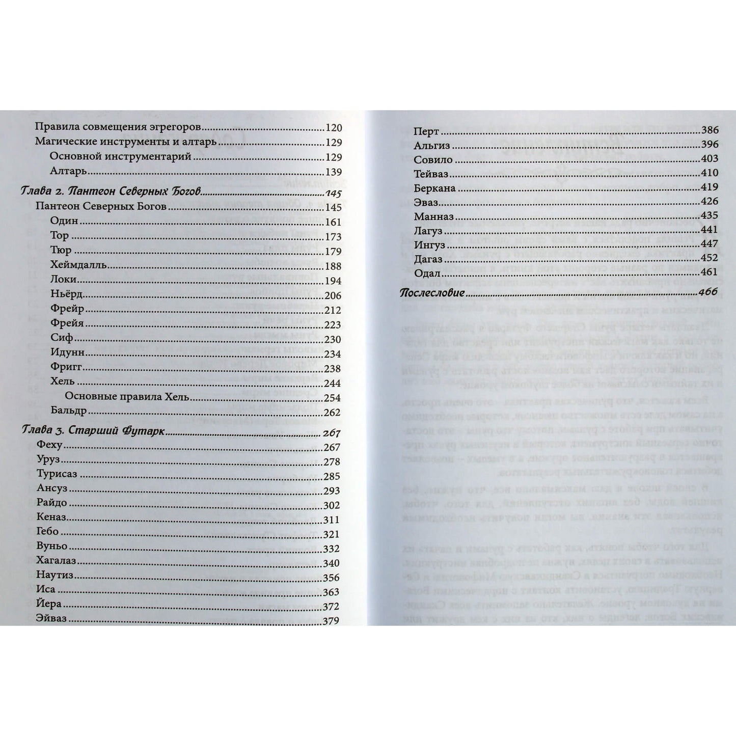 Karina Taro "Runų magijos mokykla. 1 tomas. Teorijos pagrindai"