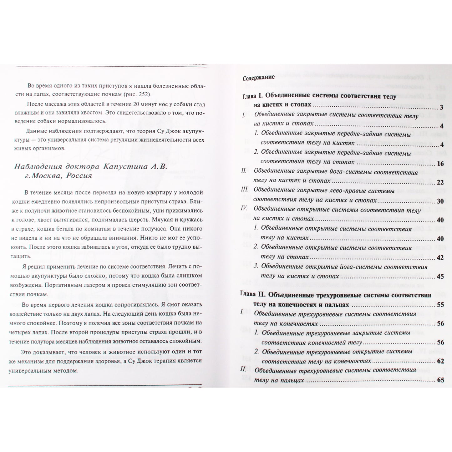 Su Jok Onnuri Su Jok terapijos apimtis 1+2