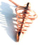Metalinė švytuoklė „spiralė“