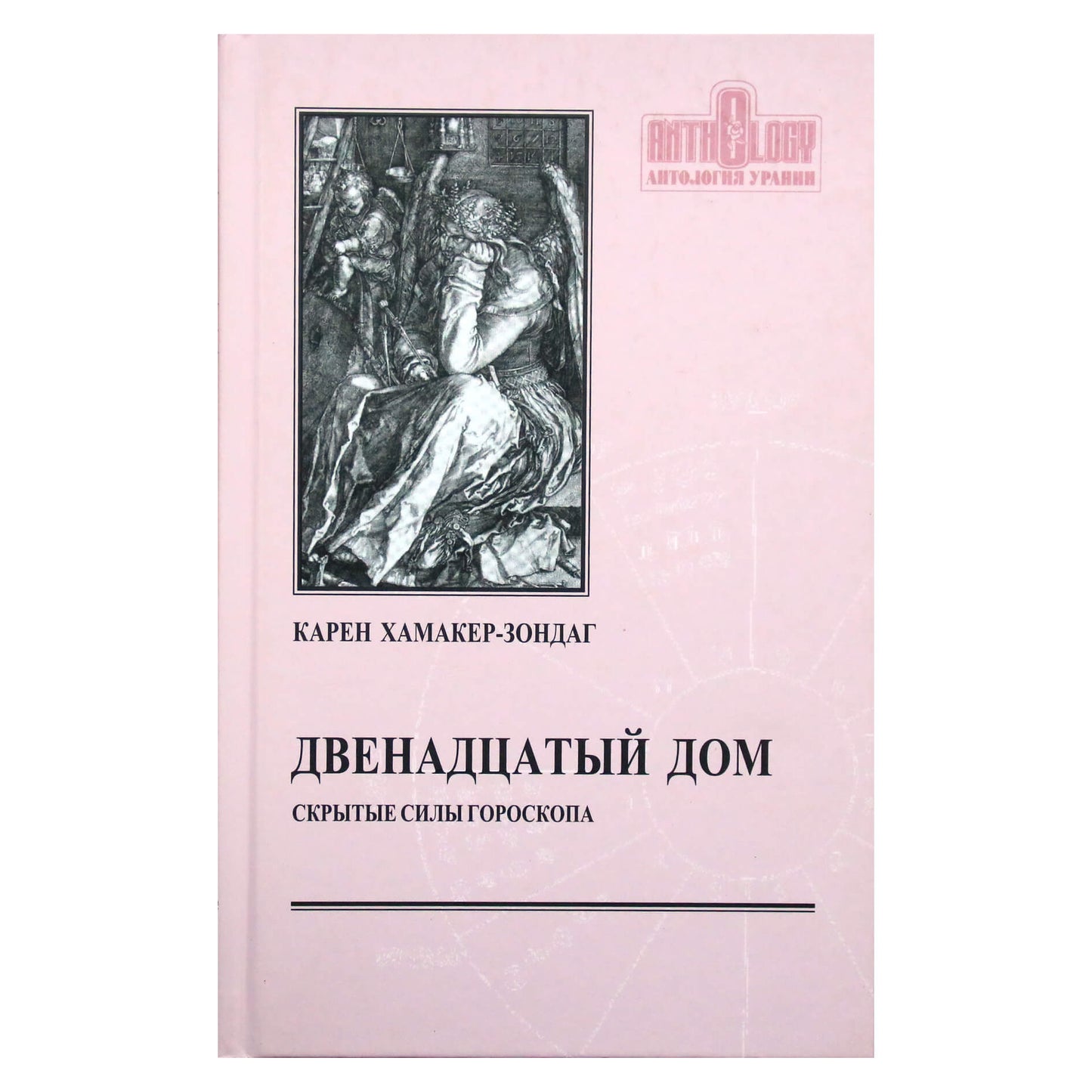Karen Hamaker-Zondag „Dvyliktasis namas arba paslėptos jėgos“