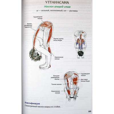 Leslie Kaminoff „Jogos anatomija. Naujas leidimas“ (spalvota knyga)
