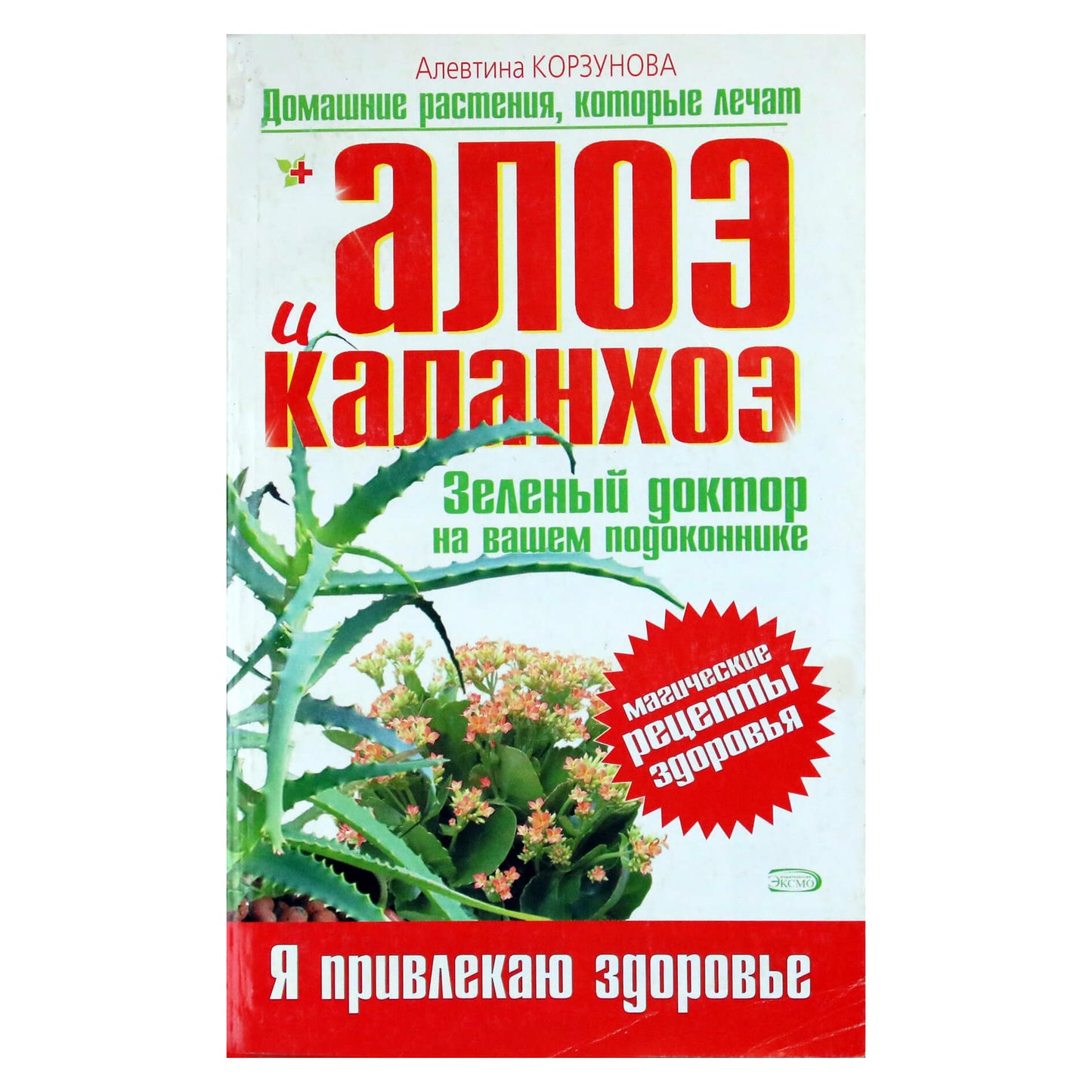 Алевтина Корзунова "Алоэ и каланхоэ"