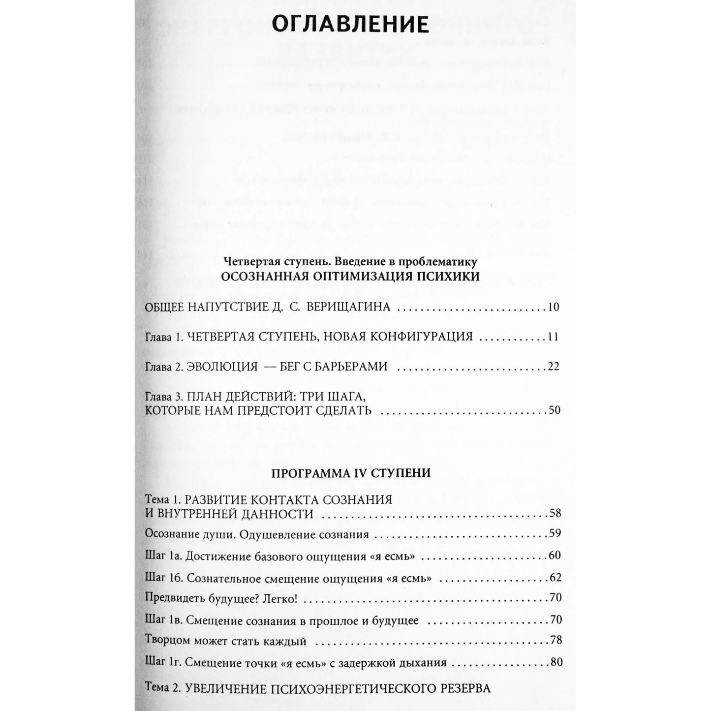 Дмитрий Верищагин "Зрелость: Система навыков Дальнейшего ЭнергоИнформационного Развития" new 4