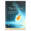 Sylvia Brown „Dievas, kūryba ir gyvenimo įrankiai“