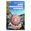 Юрий Гоголицын "Маги, предсказатели, астрологи"