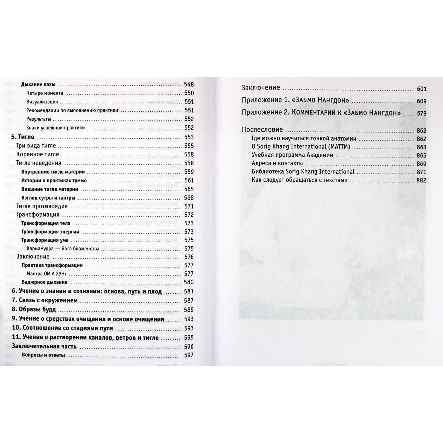 Нида Ченагцанг "Тонкая анатомия в тибетской медицине, йоге и медитации. Ключ к энергетической структуре человека"