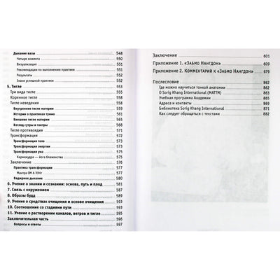 Нида Ченагцанг "Тонкая анатомия в тибетской медицине, йоге и медитации. Ключ к энергетической структуре человека"