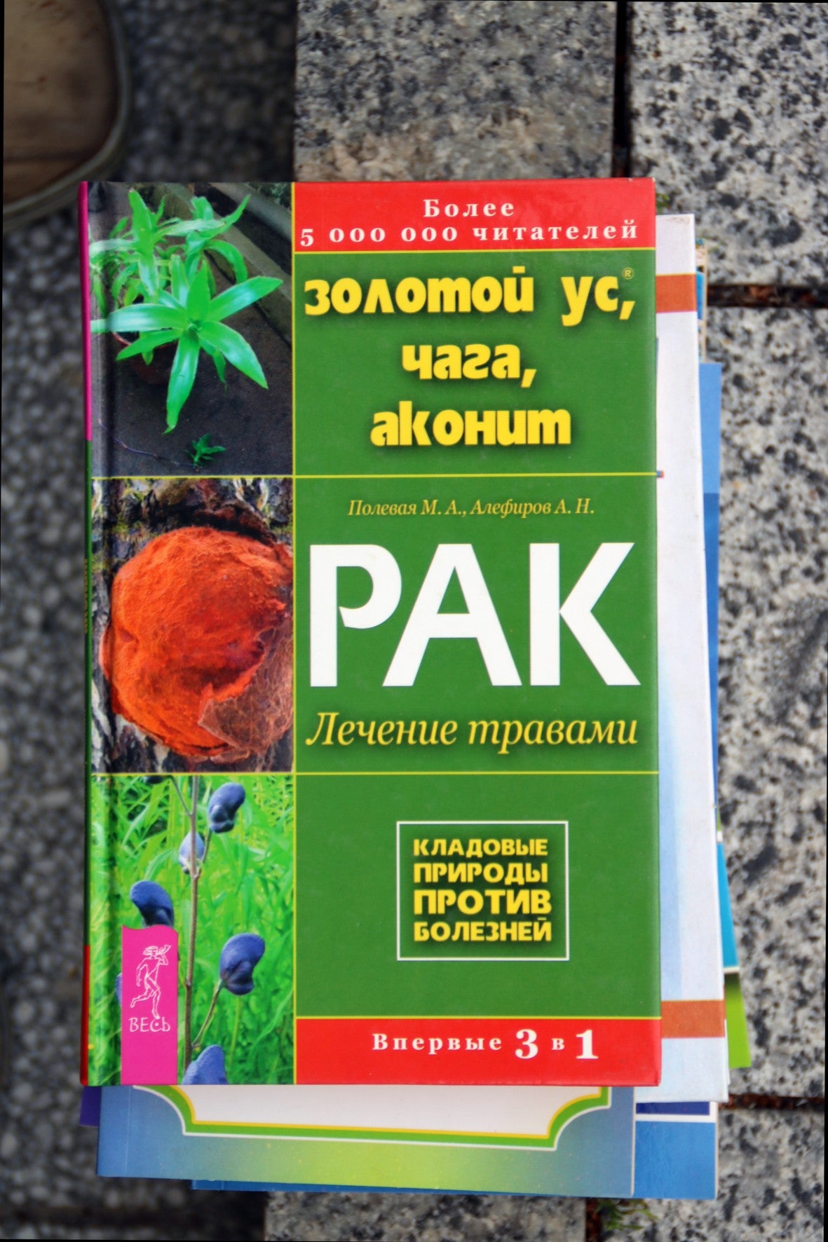 Полевая "Золотой ус, чага, аконит. Рак: лечение травами"