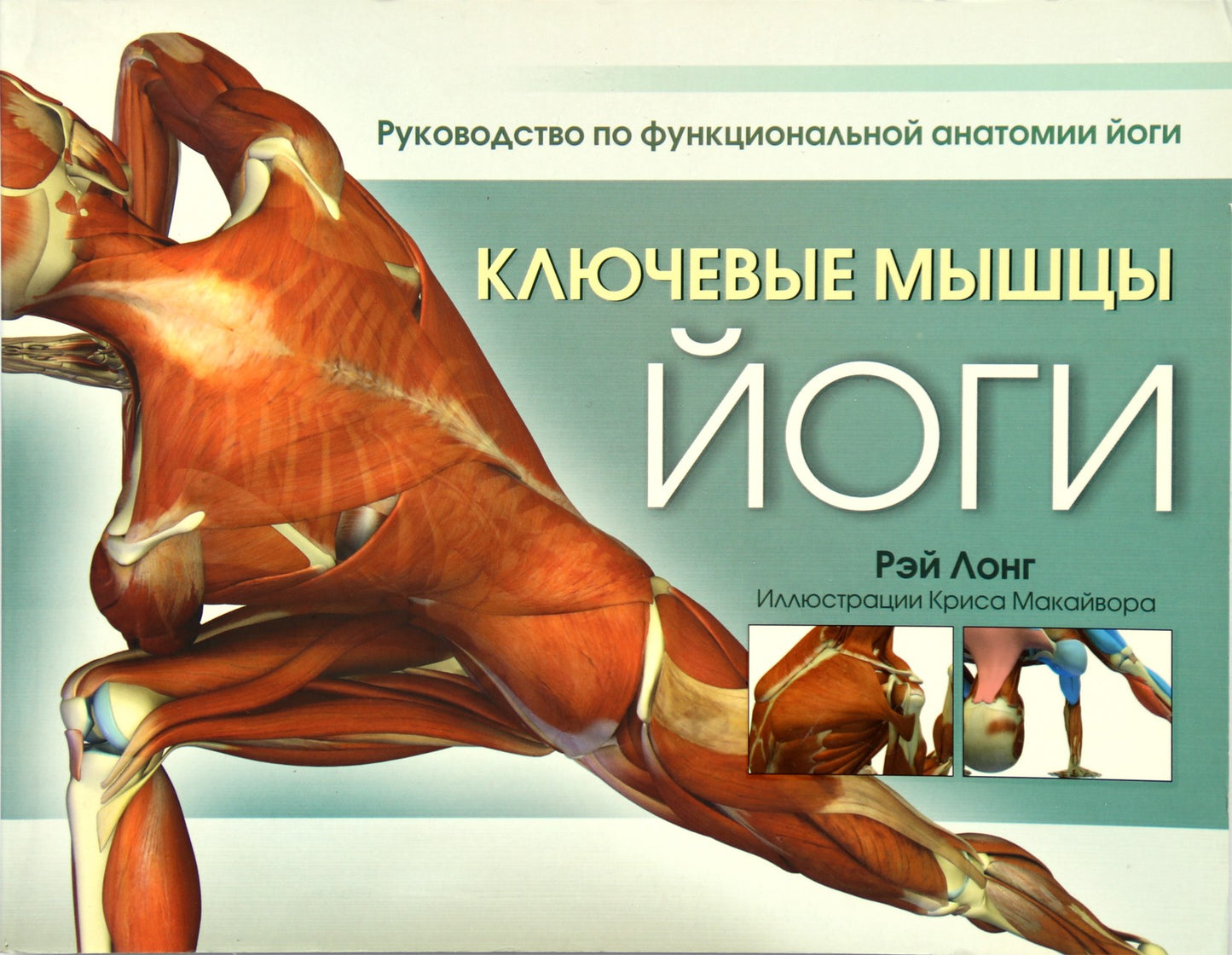 Рэй Лонг "Ключевые мышцы йоги"