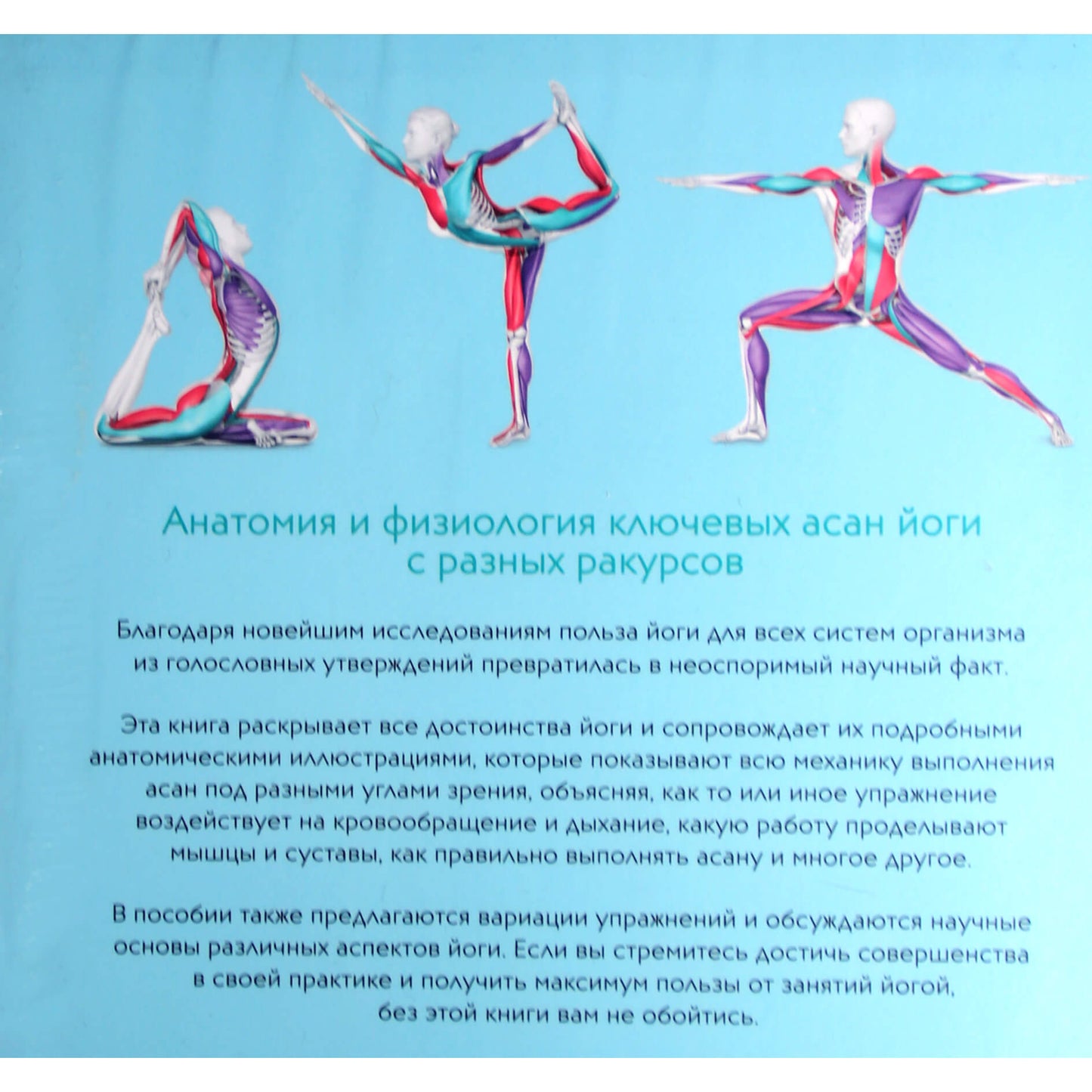 Эни Свенсон "Анатомия и физиология йоги: совершенствование практики ключевых асан"
