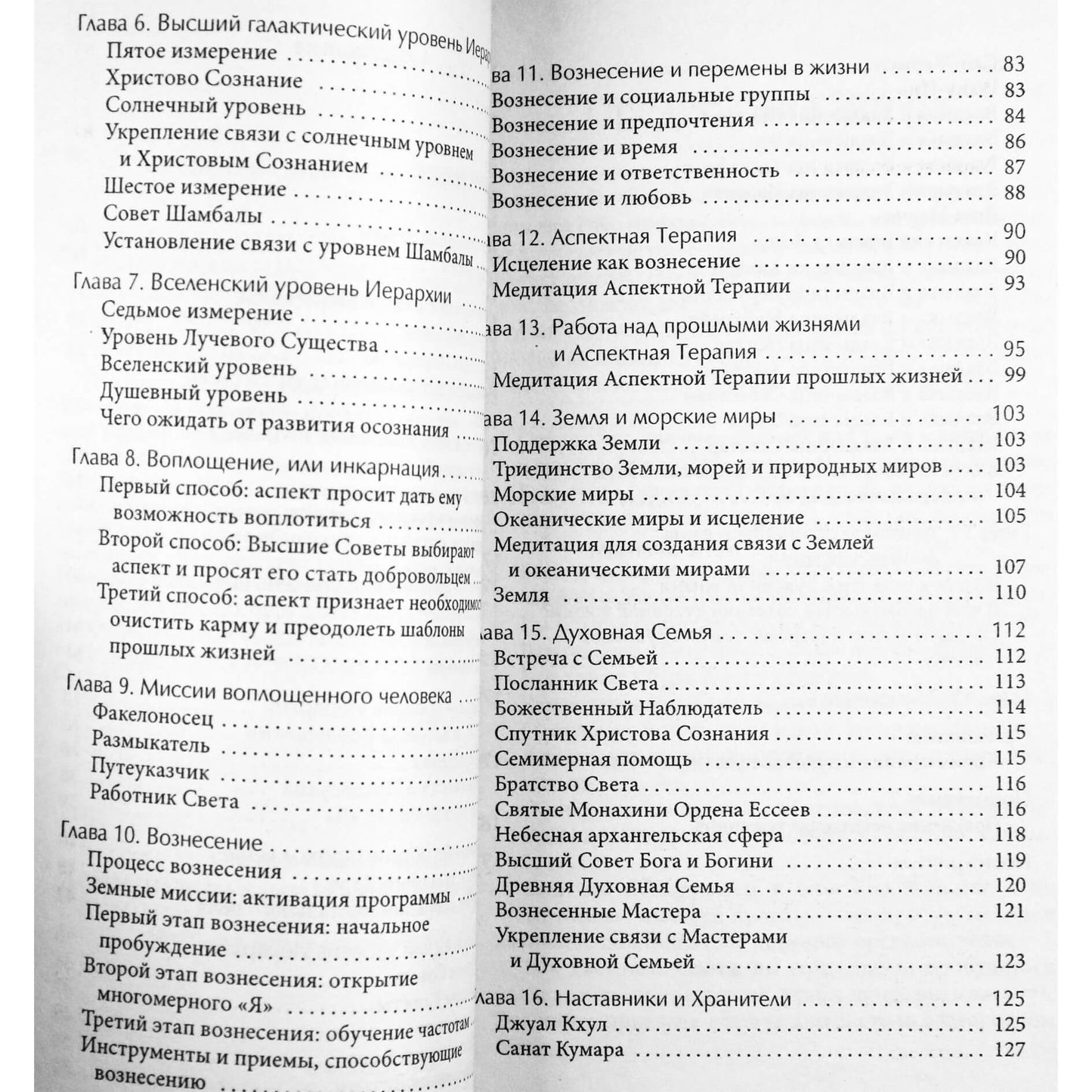 Аманда Гуггенхаймер "Спутник работника света. Ченнелинговый путеводитель по высшим мирам"