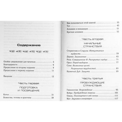 Никки Скалли "Золотой котёл или странствия с тотемными животными"