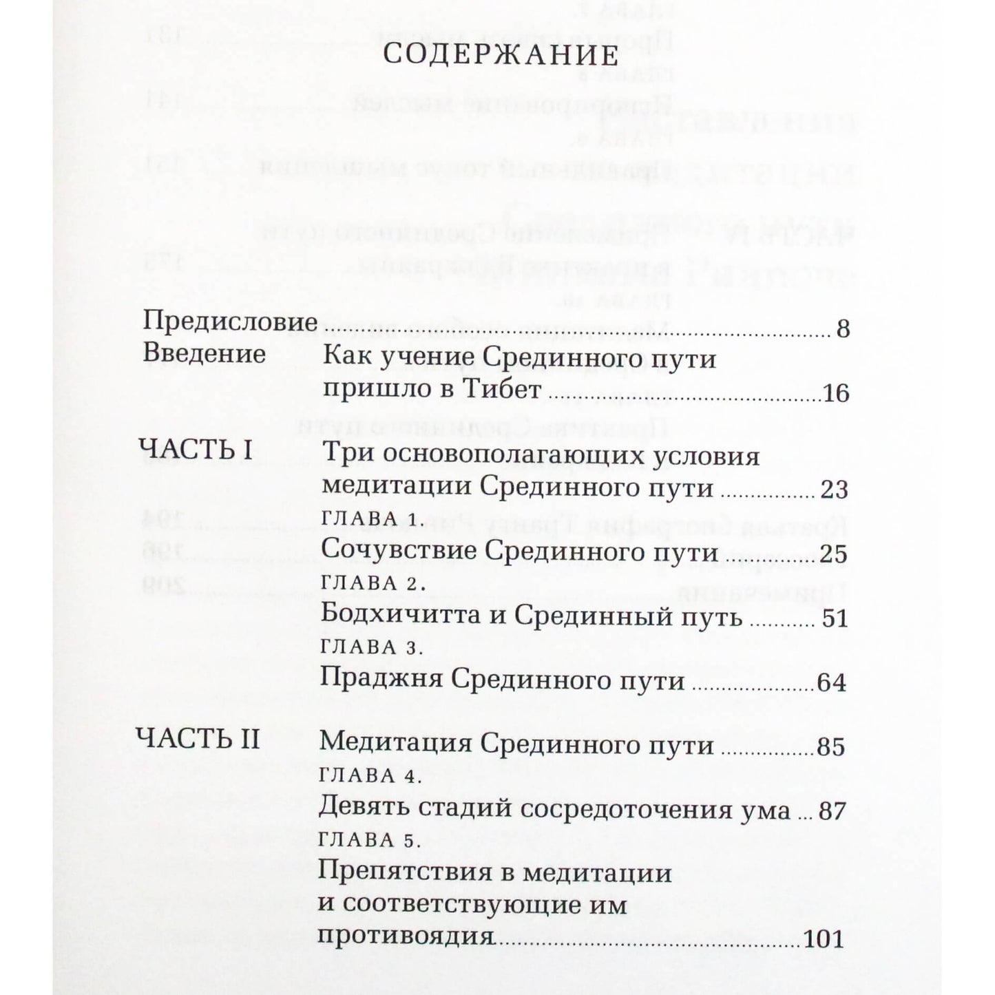 Khenchen Thrangu Rinpoche „Vidurinio kelio meditacijos instrukcijos“