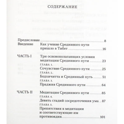 Khenchen Thrangu Rinpoche „Vidurinio kelio meditacijos instrukcijos“