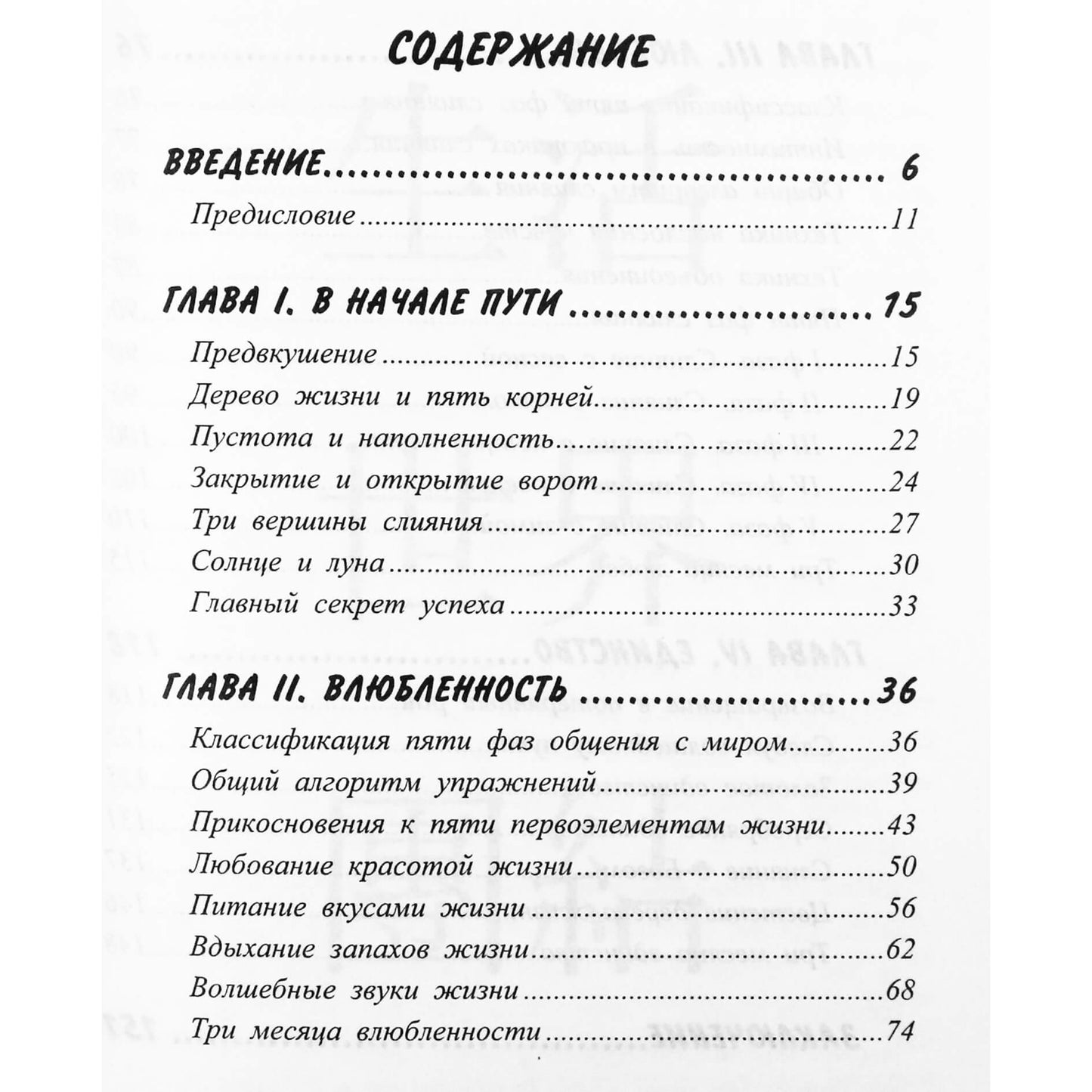 Dmitrijus Maryskinas „Patirk gyvenimą 100 %. Rytų praktikos laimingam ir harmoningam gyvenimui“