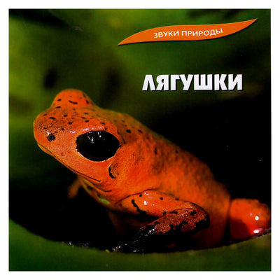 Звуки природы / Лягушки