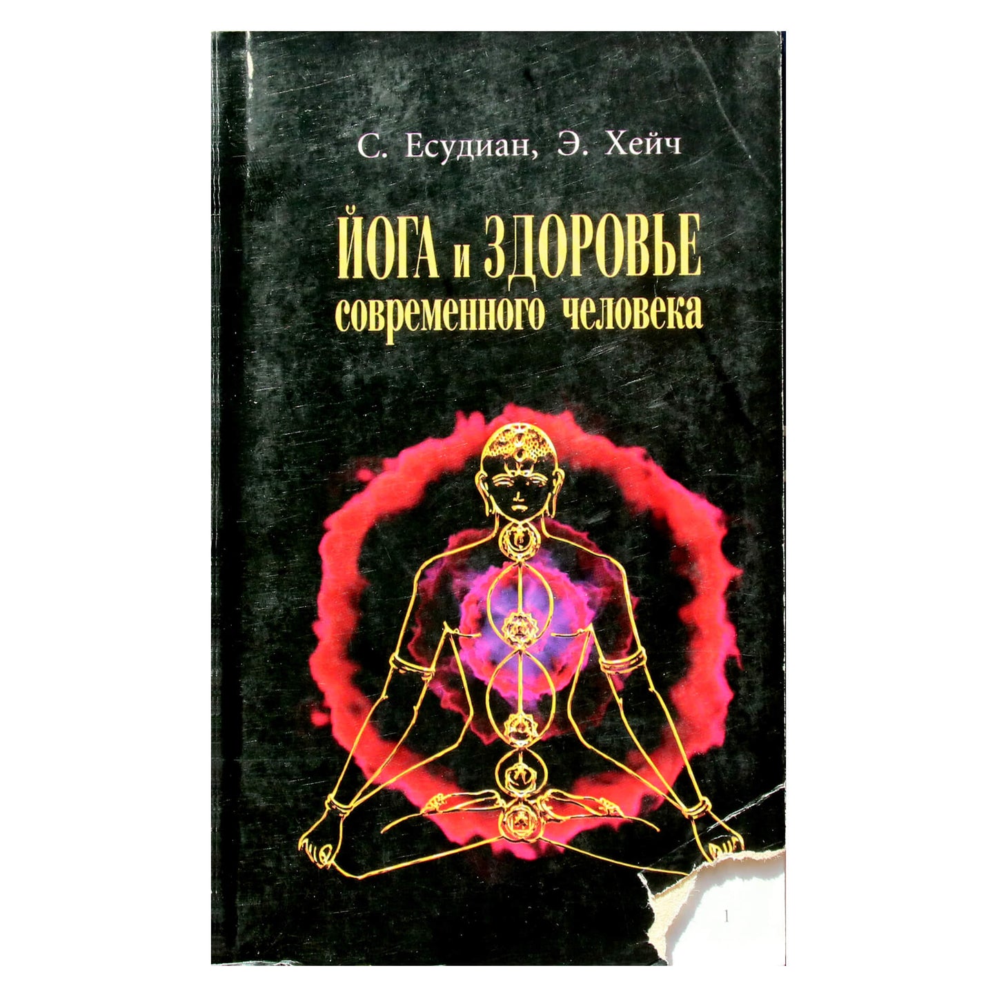 Jesudiano „Joga ir šiuolaikinio žmogaus sveikata“