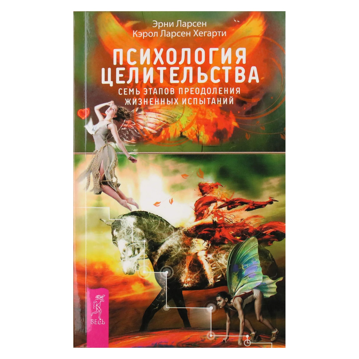 Ernie Larsen "Gydymo psichologija. Septyni gyvenimo iššūkių įveikimo etapai"