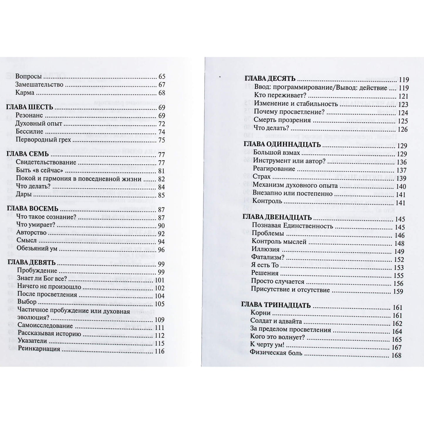 Ram Tzu (Lickerman) "Po velnių su protu!"