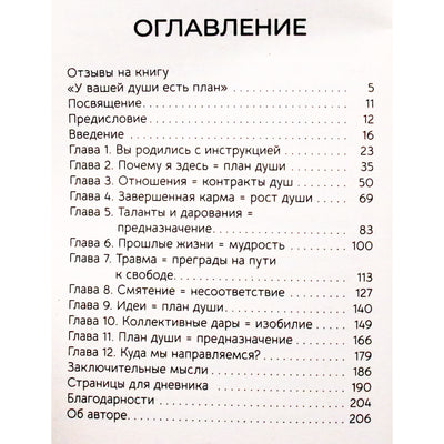 Lisa Barnett „Jūsų siela turi planą. Pažadinkite savo tikslą per savo Akašos įrašus“