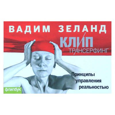 Vadimas Zelandas „Įrašų perkėlimas: realybės valdymo principai“