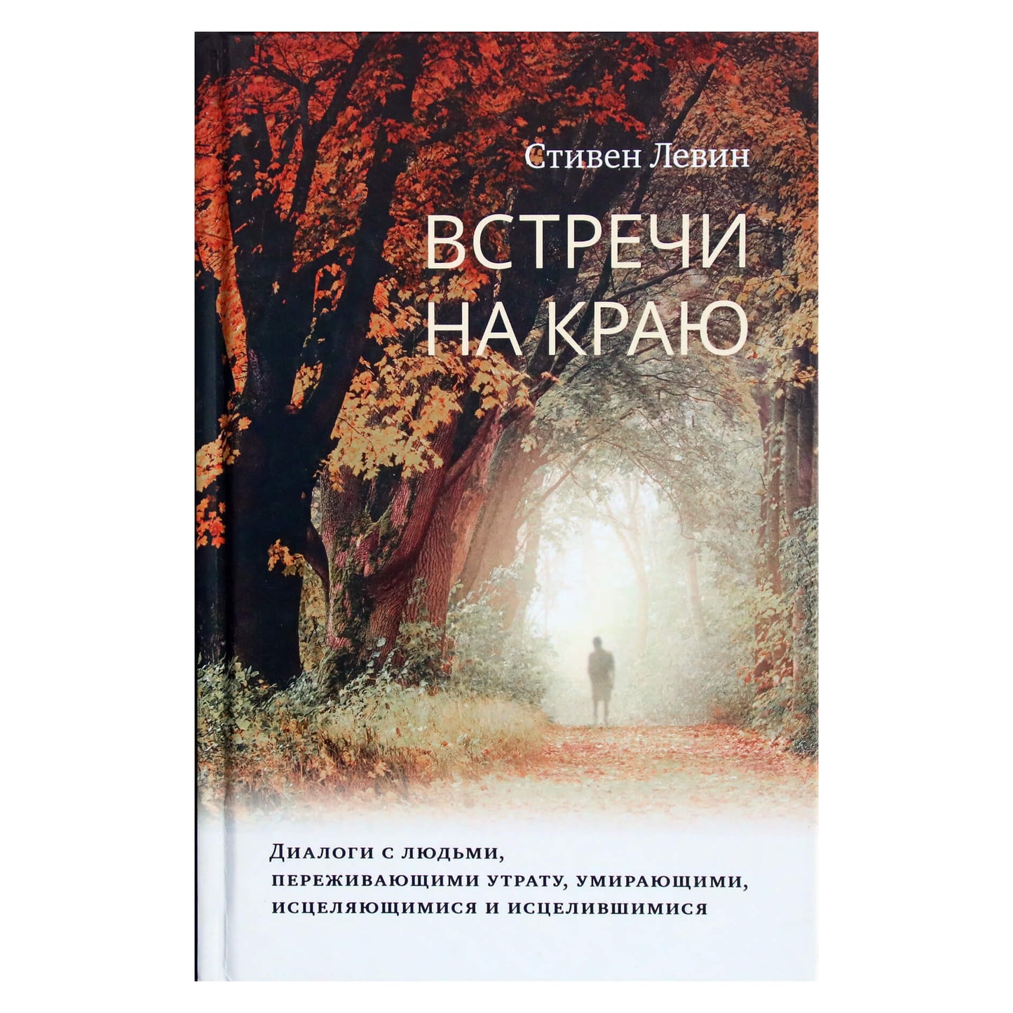Стивен Левин "Встречи на краю"