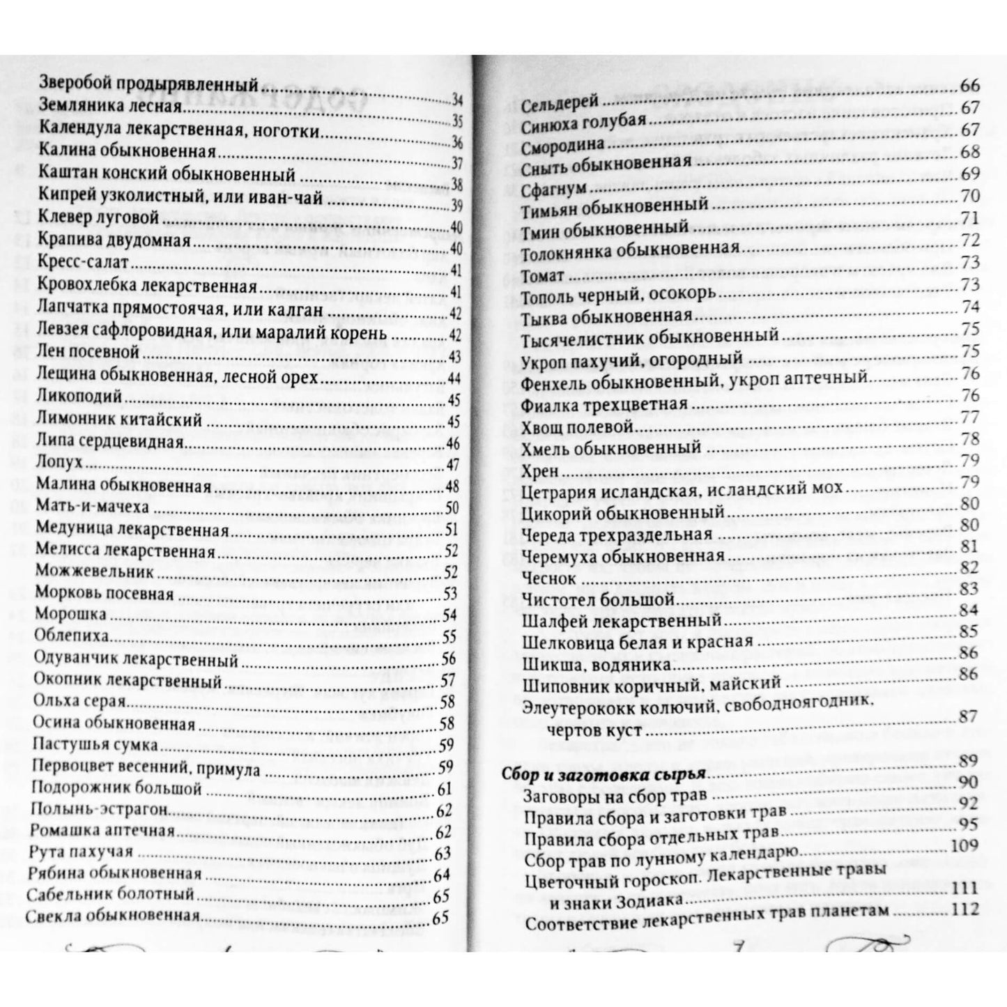 Afanasijus Lukjanovas „Gydytojo vaistažolės. Užpilai, nuovirai, rinkiniai nuo bet kokių negalavimų“