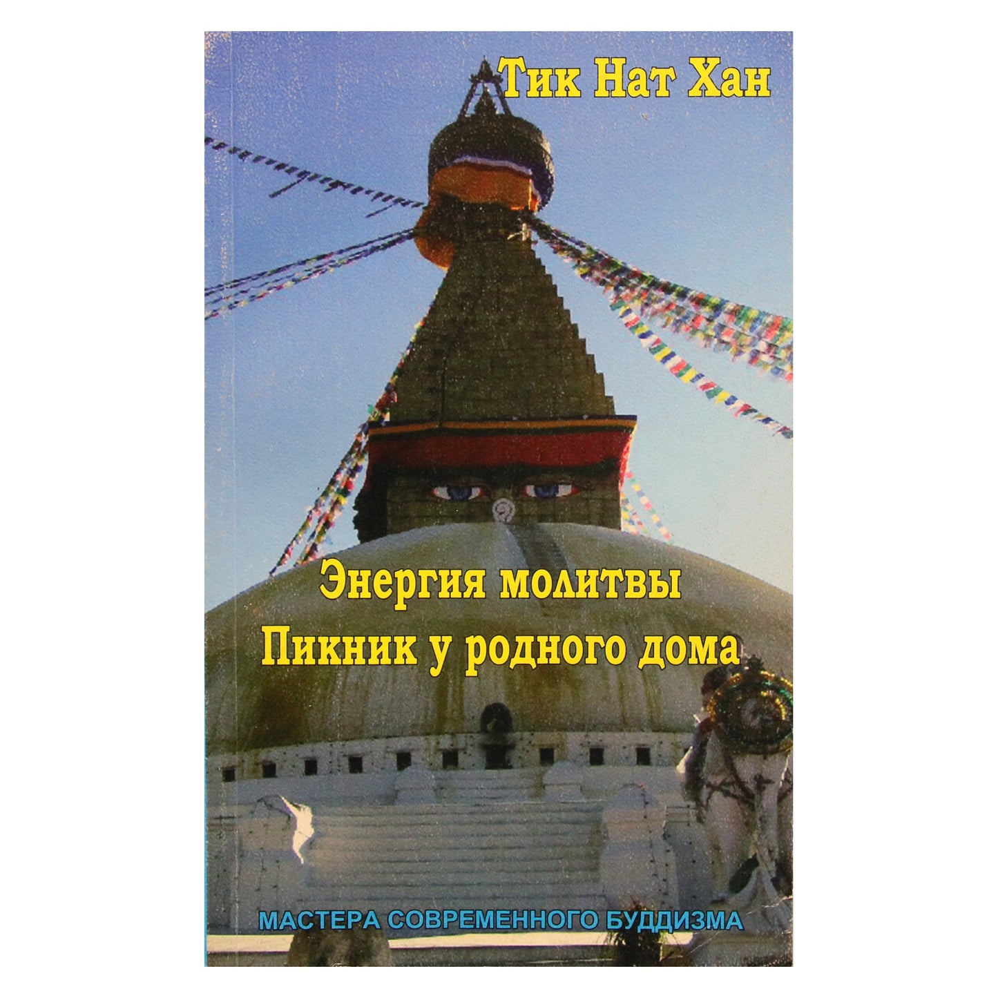 Thich Nhat Hanh "Maldos energija. Piknikas namuose" (20 tomas)