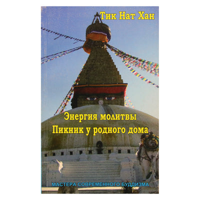 Thich Nhat Hanh "Maldos energija. Piknikas namuose" (20 tomas)