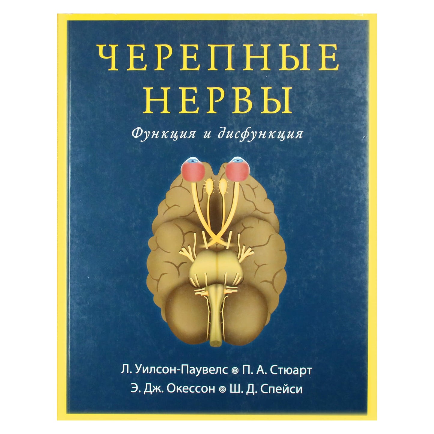 Wilson-Pauwels "Kaukolės nervai. Funkcija ir disfunkcija"
