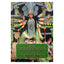 Девибхагавата-пурана I-VI том
