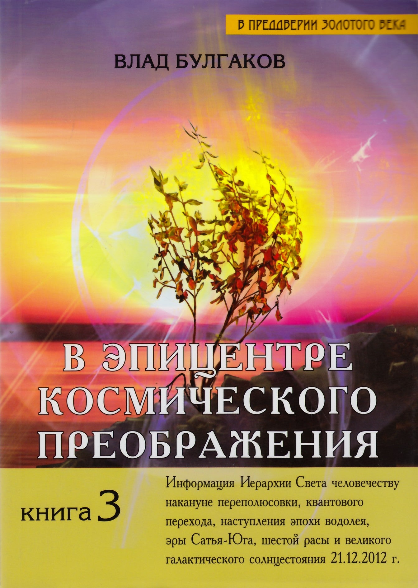 Vladas Bulgakovas 3 „Kosminės transformacijos epicentre“