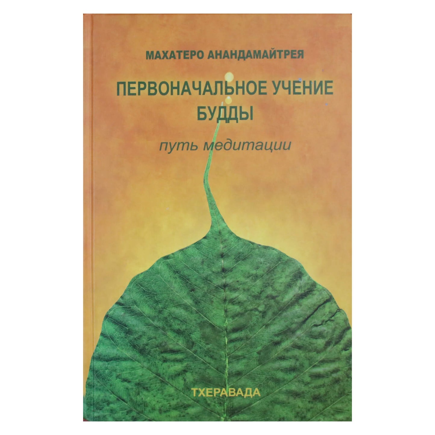 Mahathero Anandamaitreya "Pirmieji Budos mokymai. Meditacijos kelias"