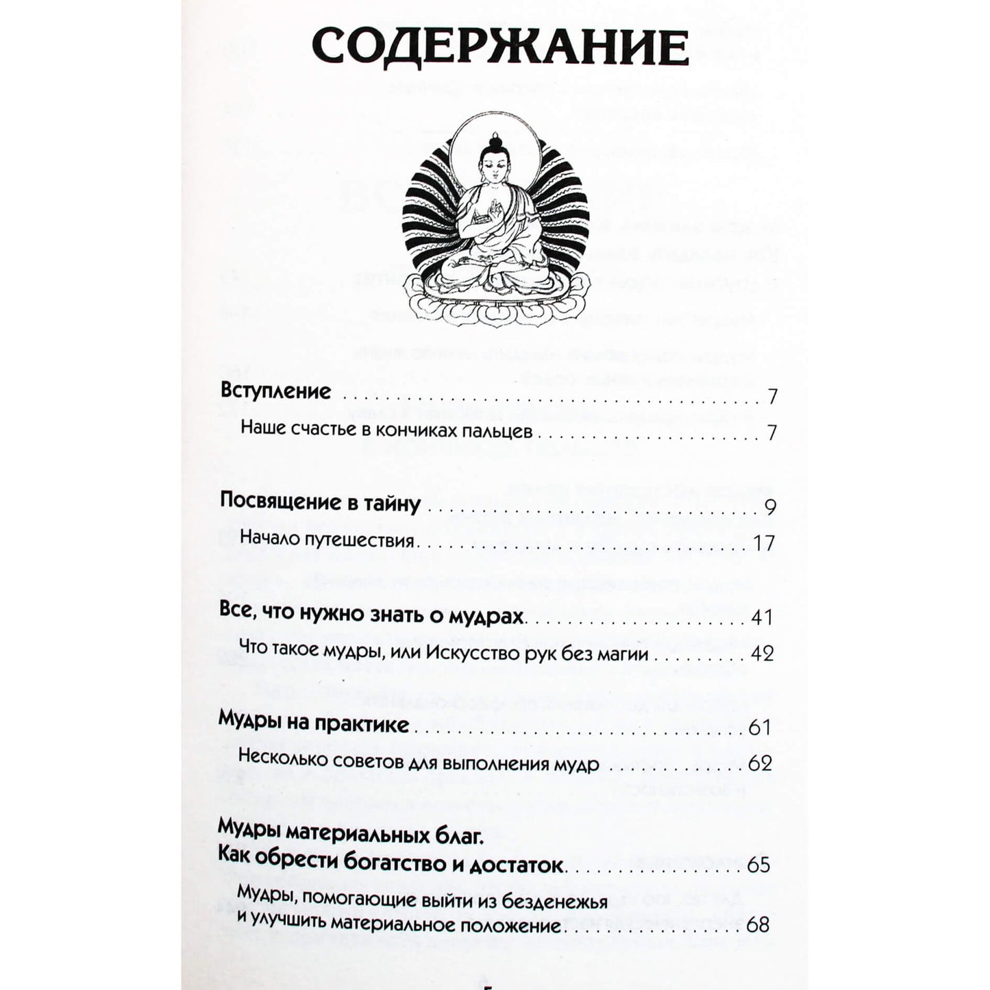 Петр Левин "Все мудры, исполняющие желания, в одной книге"