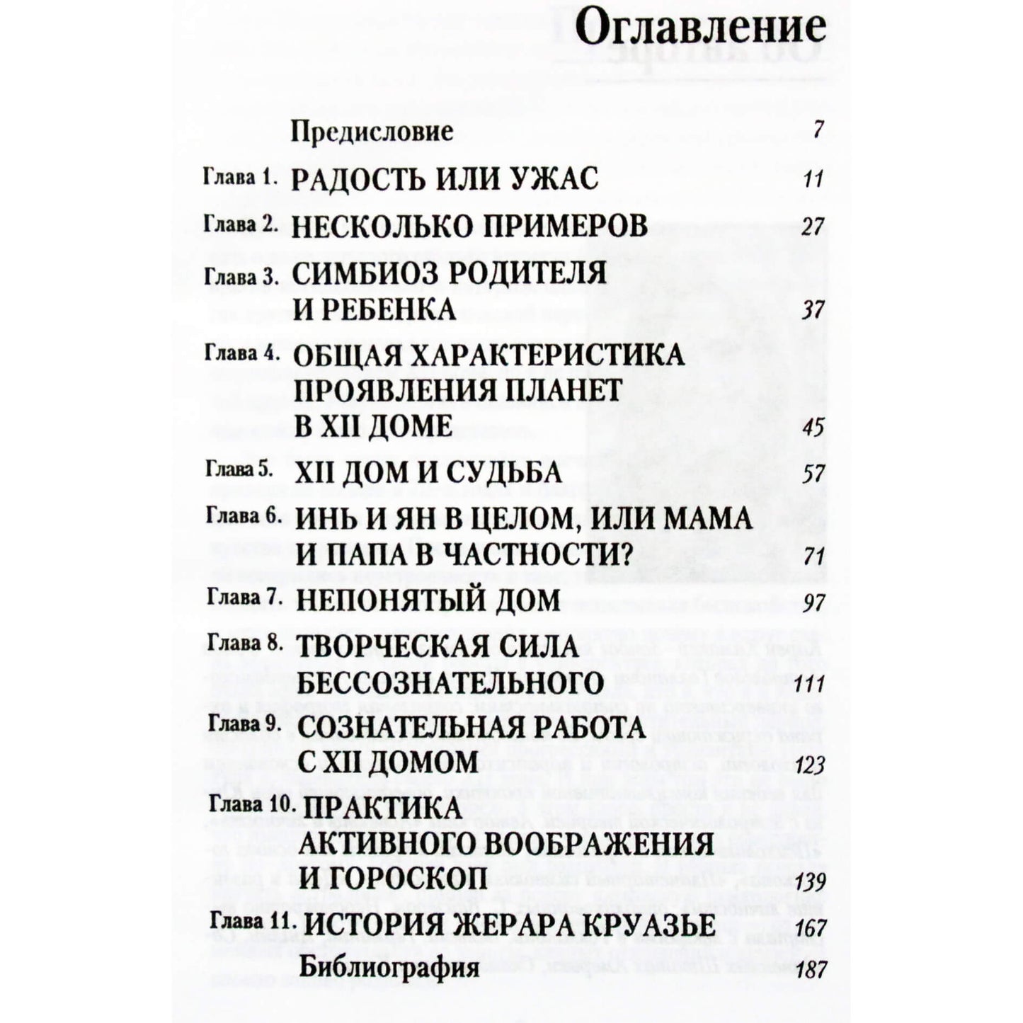 Karen Hamaker-Zondag „Dvyliktasis namas arba paslėptos jėgos“