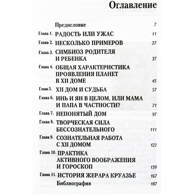 Karen Hamaker-Zondag „Dvyliktasis namas arba paslėptos jėgos“