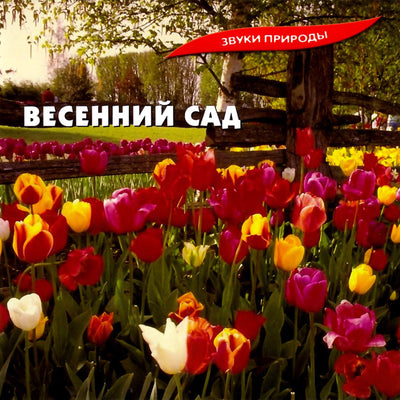 Звуки природы / Весенний сад
