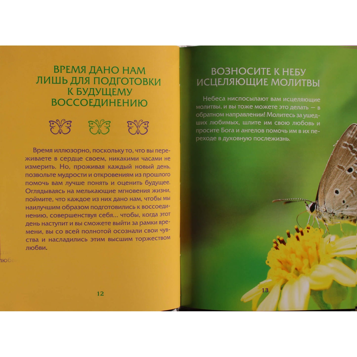 Doreen Virtue „Kaip išgydyti sielvartaujančią širdį“ (spalva)