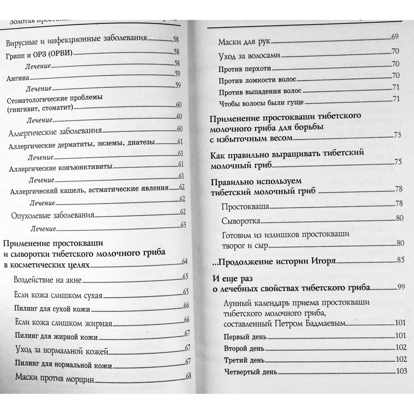 Vladimiras Agafonovas „Auksinis Tibeto pieno grybo jogurtas“ 